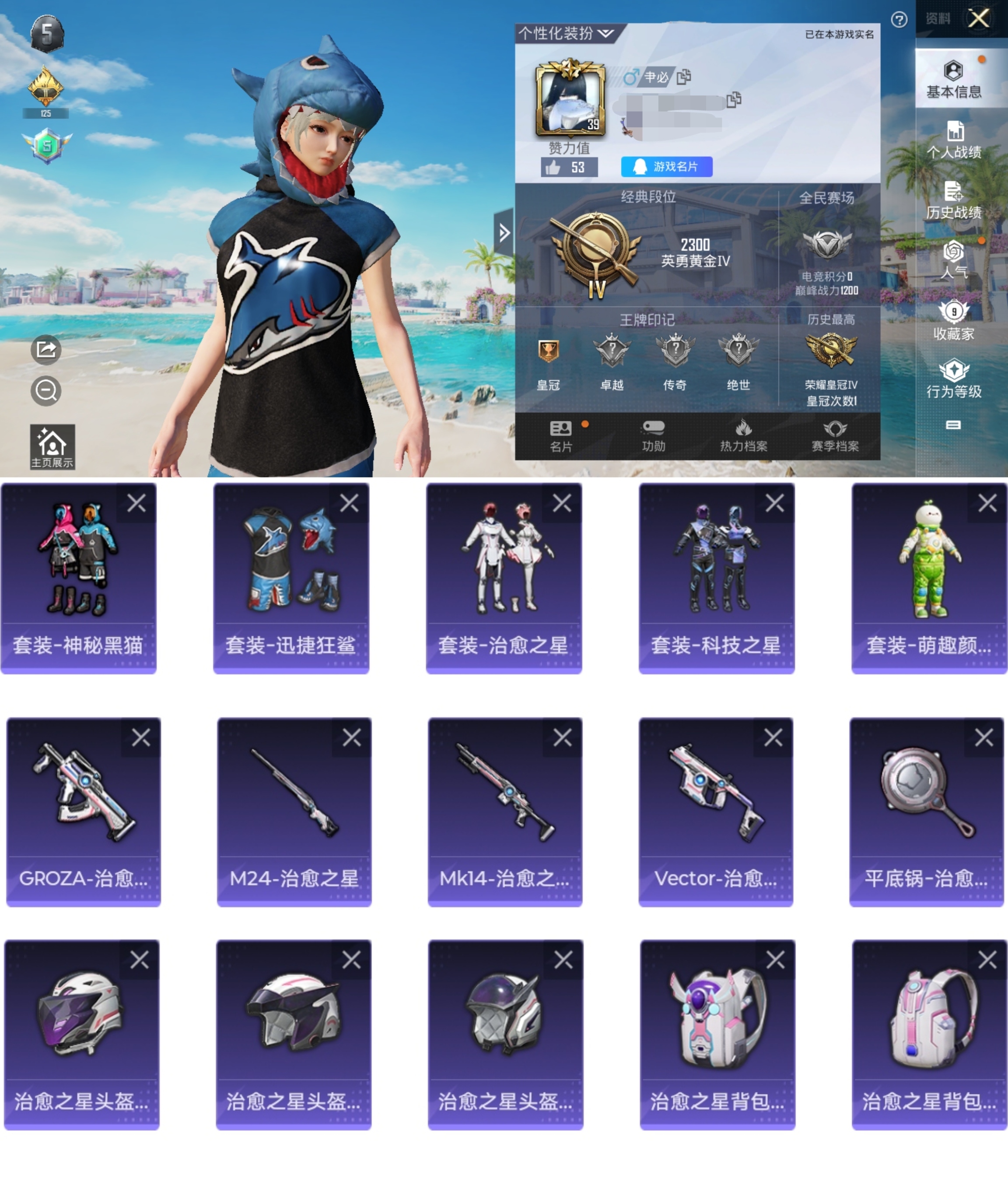 和平精英账号安卓QQ0载具-19套装-15枪皮-CH38+【可二次双字ID 神秘黑猫 迅捷狂鲨 】安卓Q区-4467热力