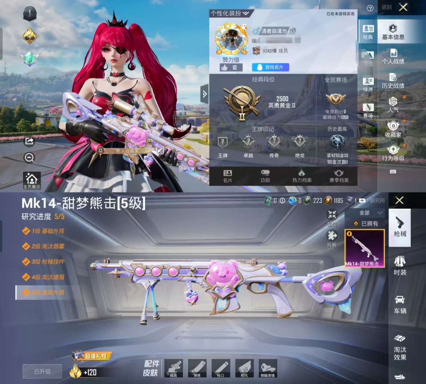 HPCMW3337512和平精英账号详情图2