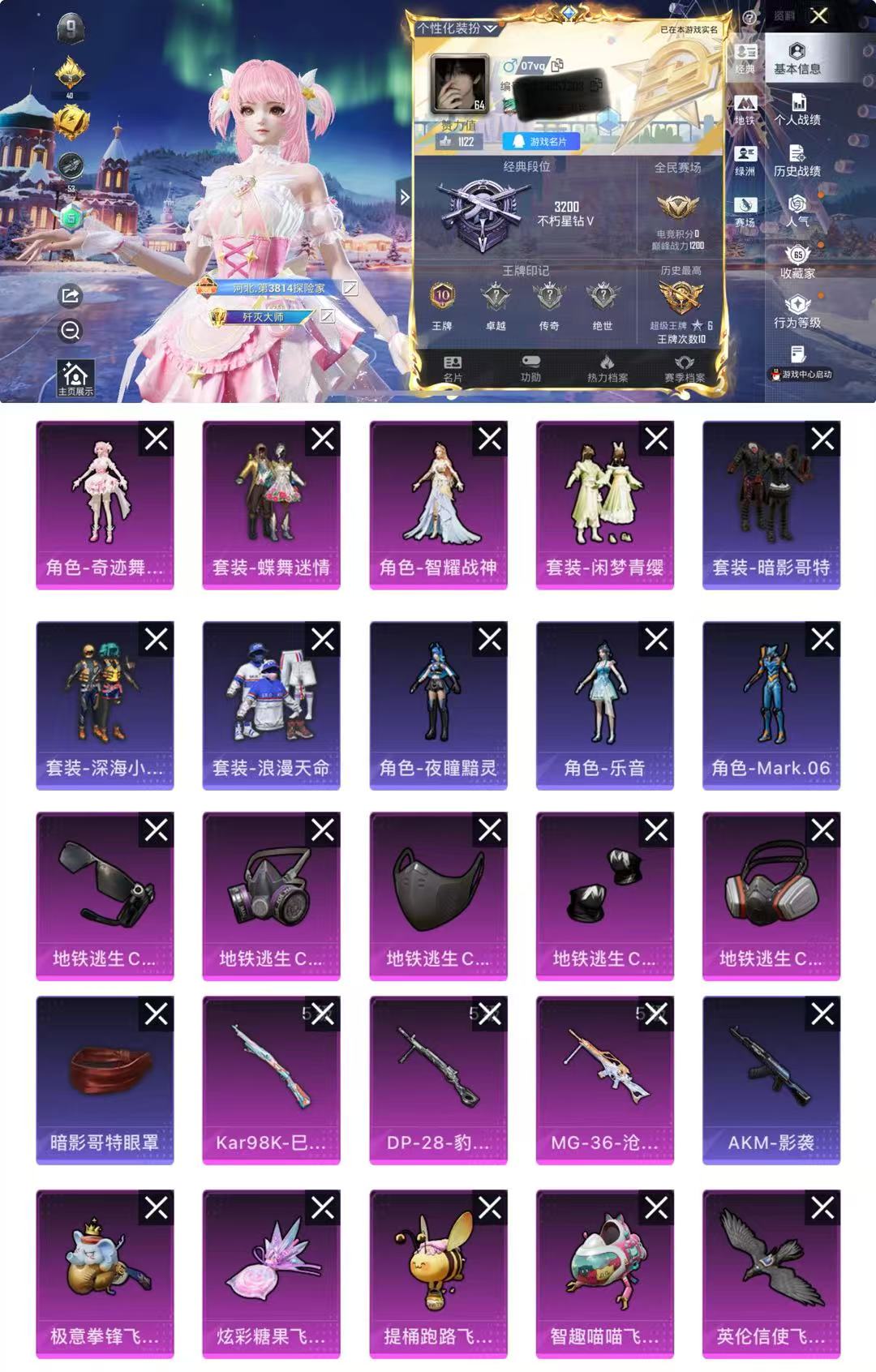 和平精英账号苹果QQ0载具-169套装-219枪皮-HM6263苹果Q区【女号 助理巡查员 可二次-4粉装-3特效枪7飞