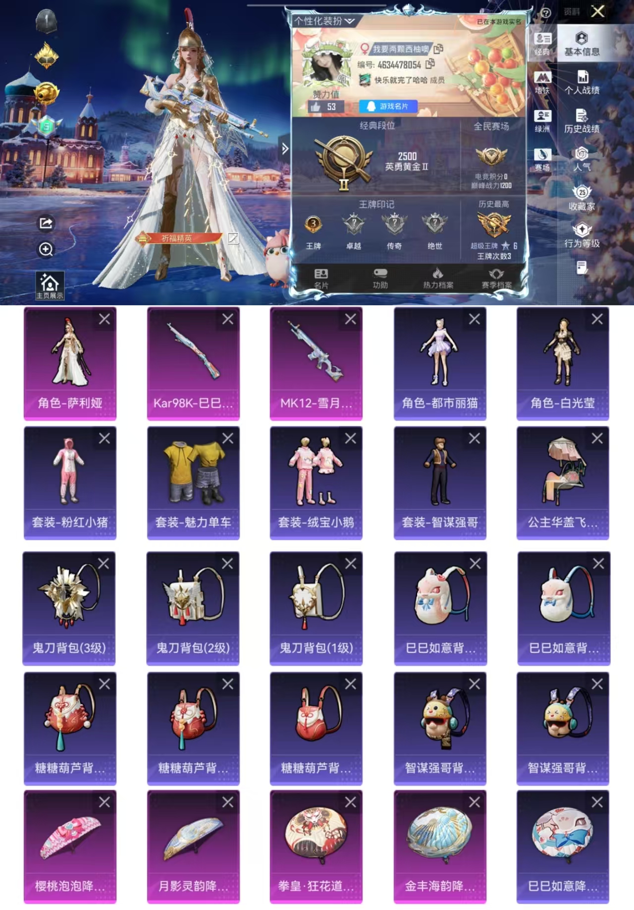 和平精英账号安卓QQ0载具-35套装-53枪皮-umi504 【优质粉装： 萨利娅+特效枪：12-雪月幻音(五级) Ka