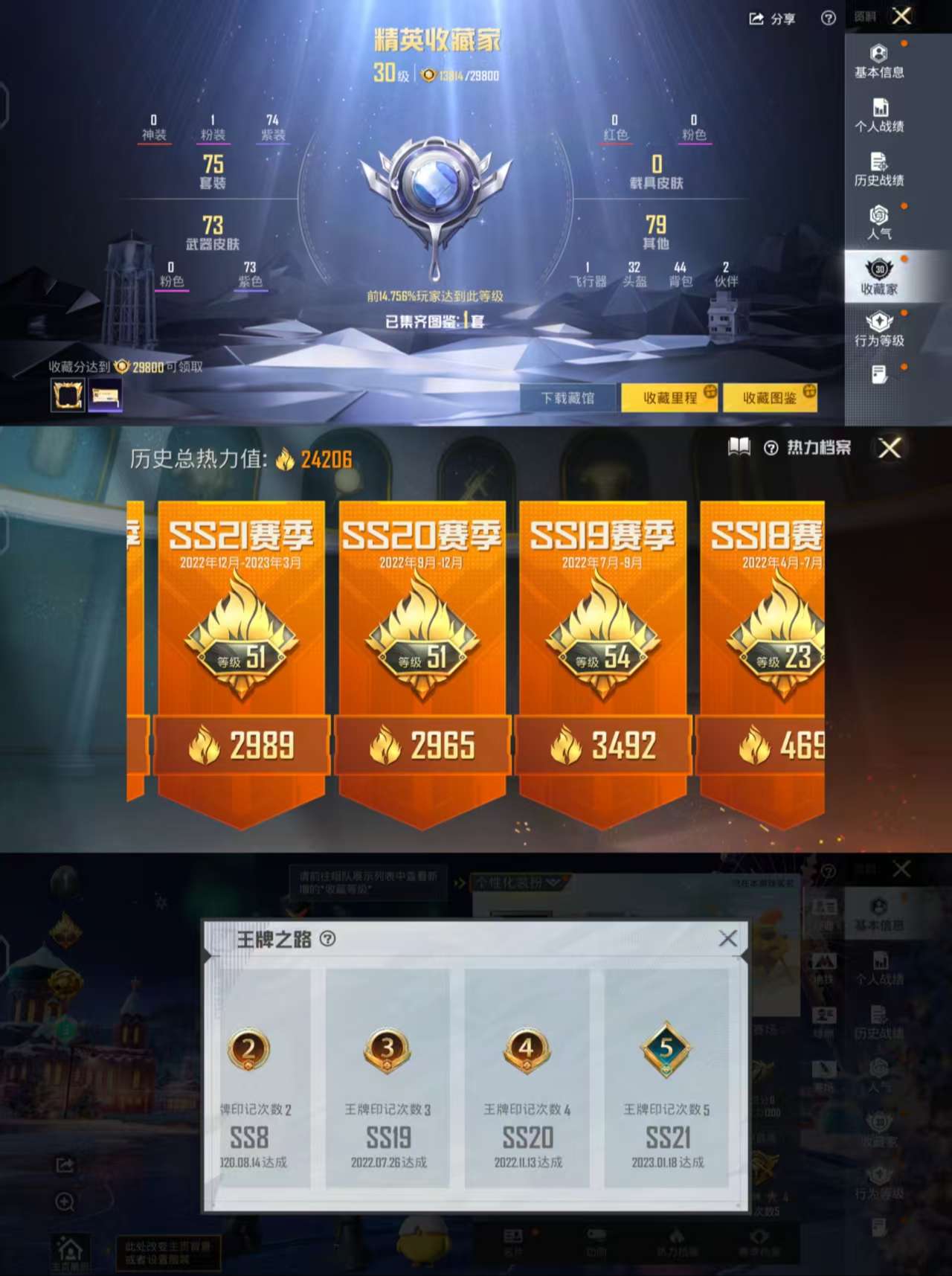 HPCMW3449019和平精英账号详情图3