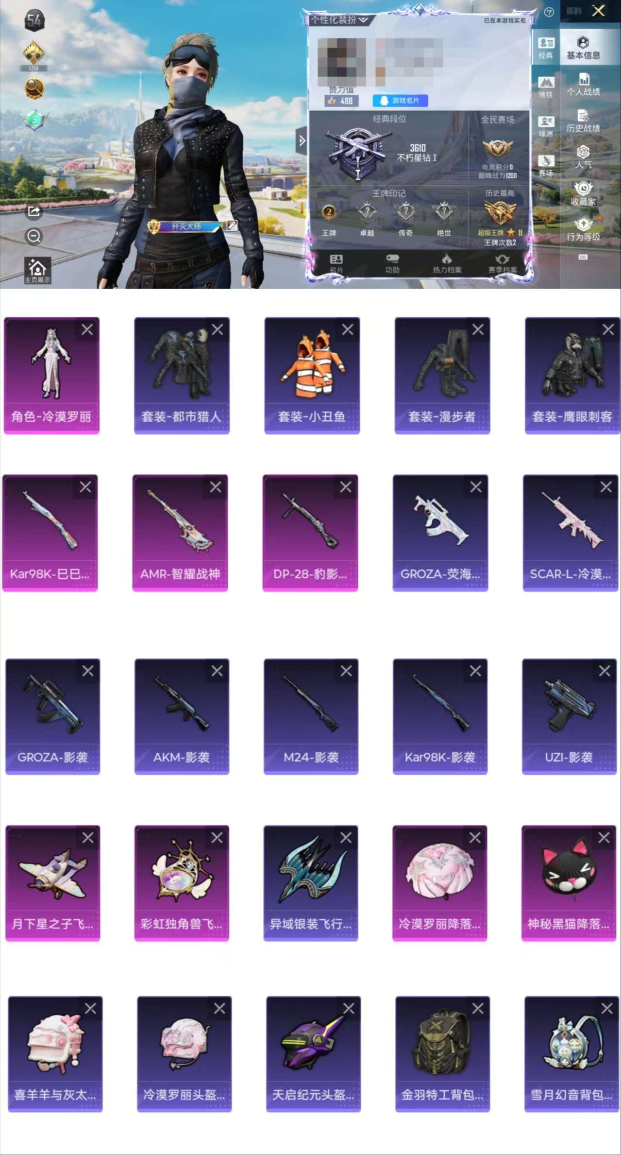 HPCMW45460和平精英账号详情图2