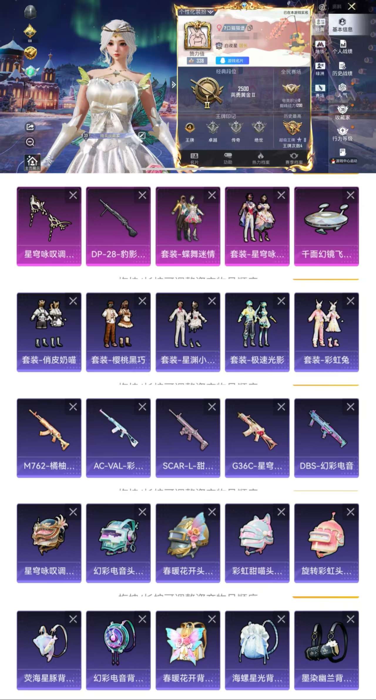 HPCMW411103和平精英账号详情图2 HPCMW411103和平精英账号详情图2