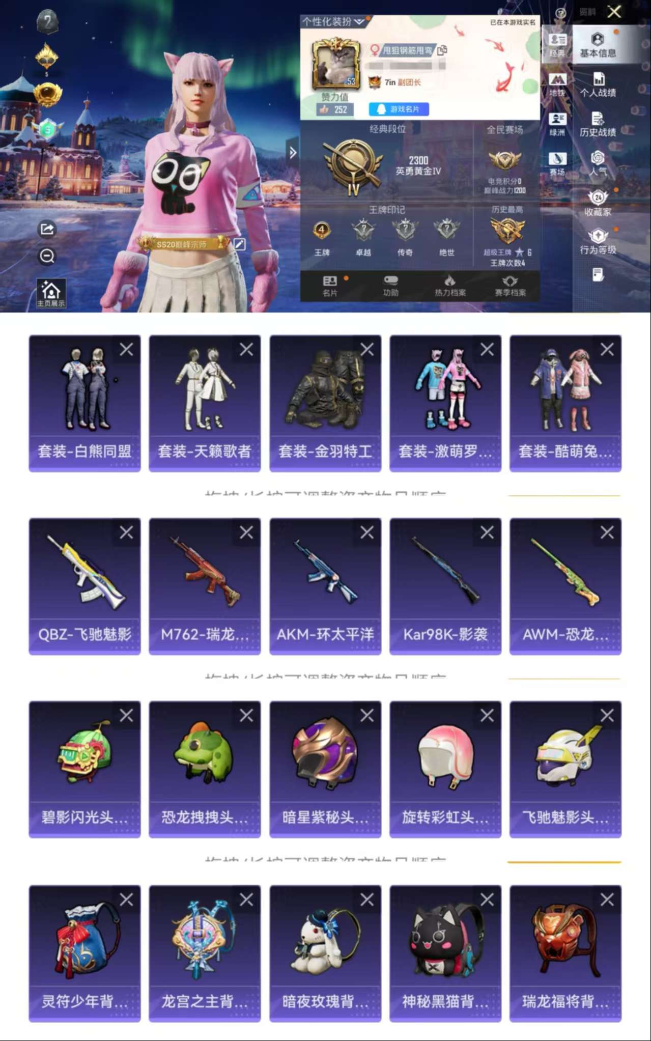 HPCMW411118和平精英账号详情图2