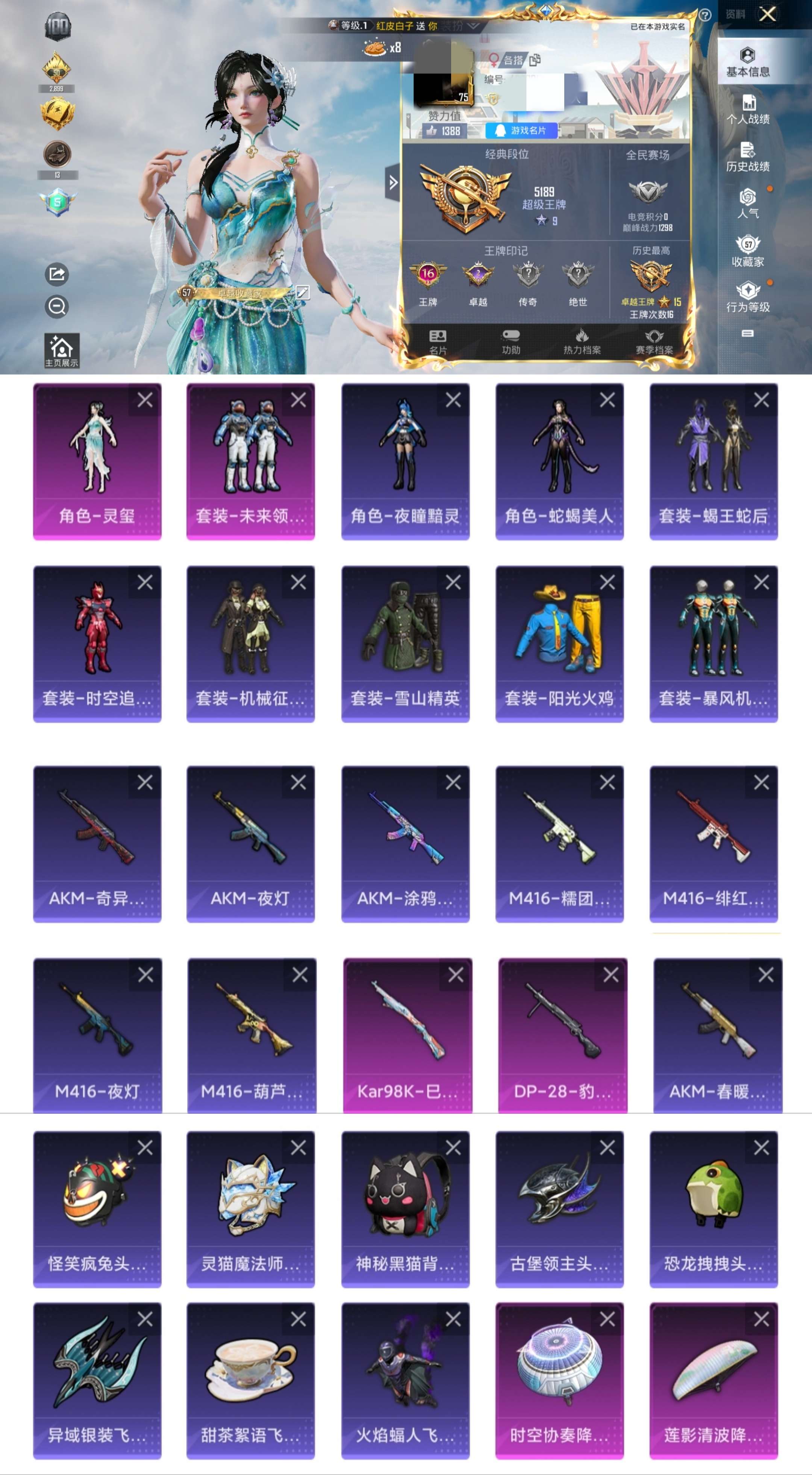 HPCMW416955和平精英账号详情图2