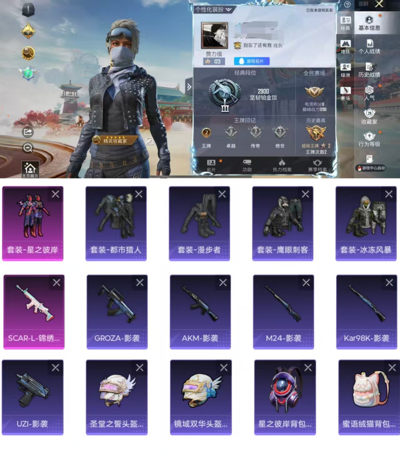 和平精英账号苹果QQ0载具-33套装-69枪皮-CH177+【苹果Q区-都市猎人全套素材号-1粉装1特效枪-36点地铁天