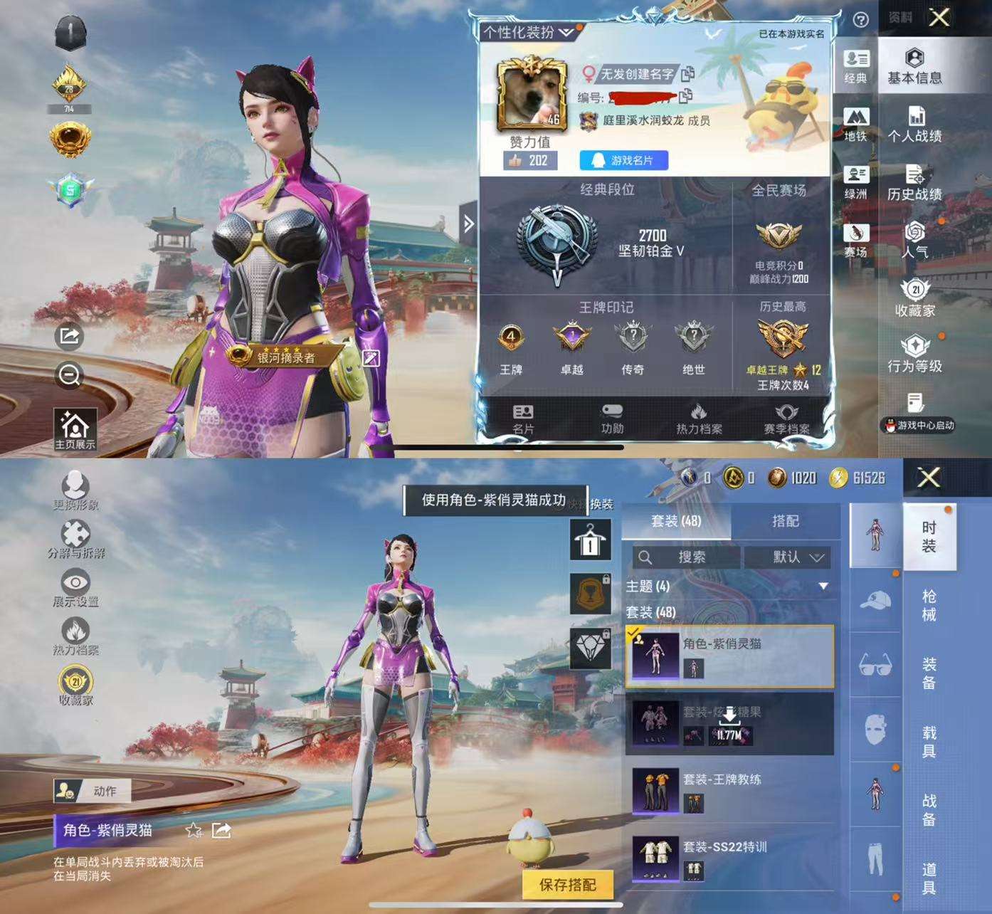 HPCMW464571和平精英账号详情图2