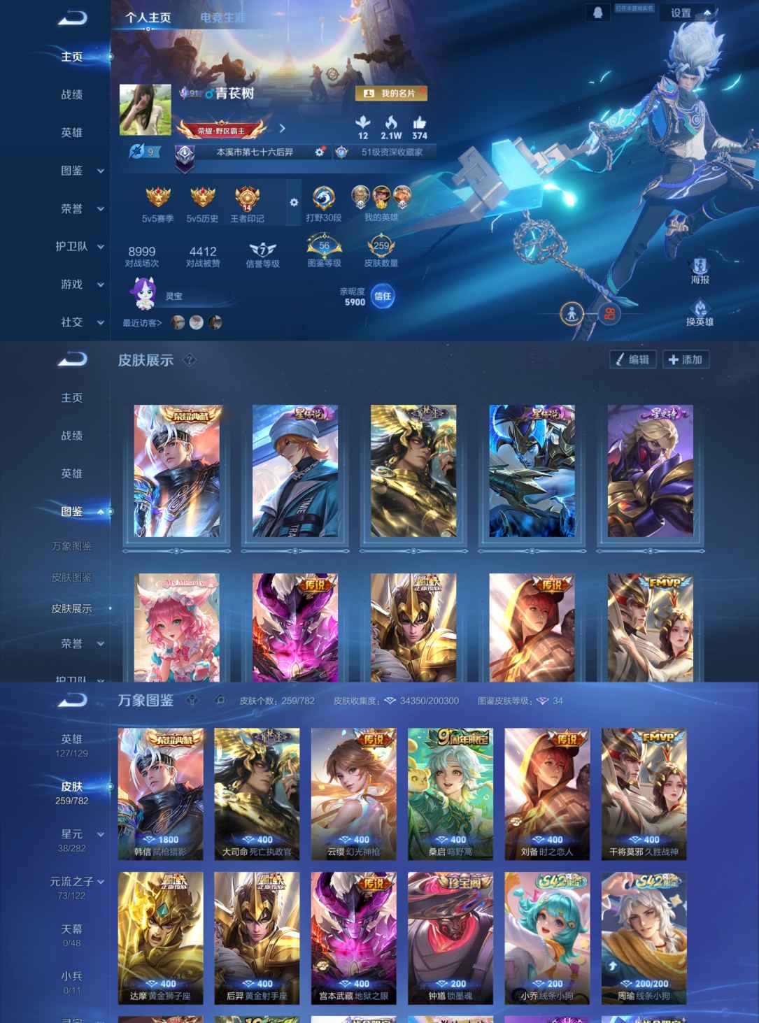 王者荣耀账号安卓QQ127英雄-259皮肤-GT193 野王号 金标刘备 260皮1典藏7传说3星传说安卓Q-V6-至圣