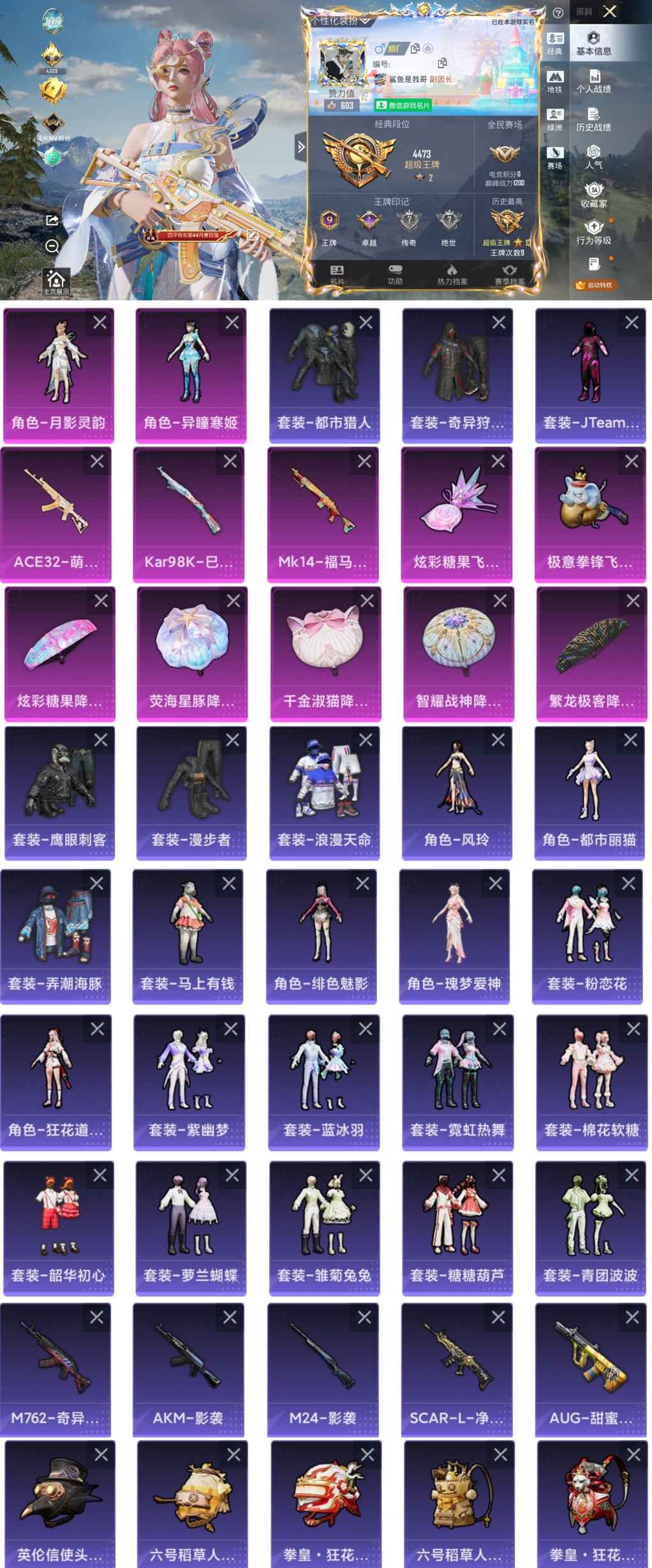 和平精英账号苹果微信0载具-139套装-158枪皮-YY1306+苹果V区-2粉装-4特效枪-43378热力值-9王牌印