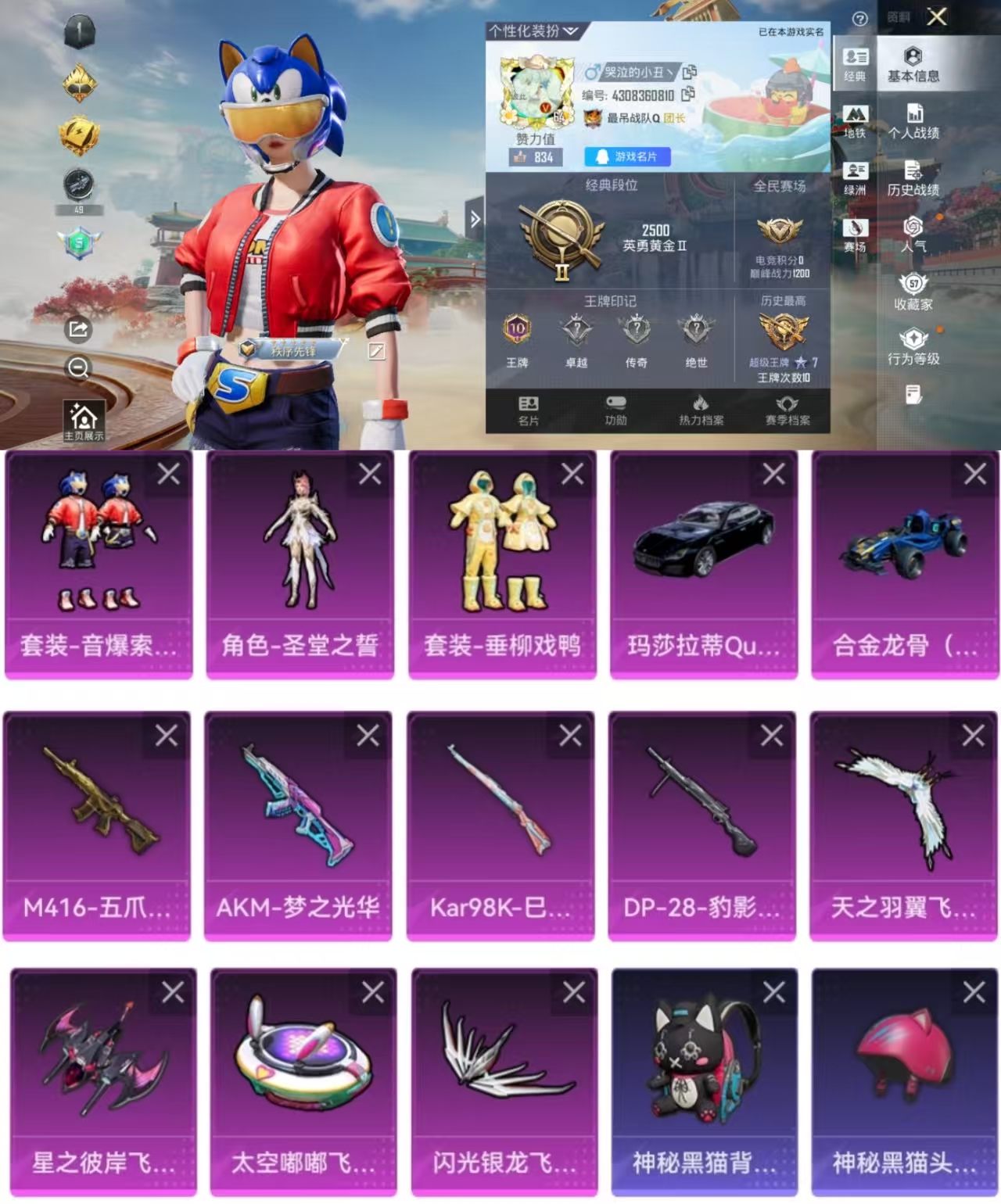 和平精英账号安卓QQ2载具-115套装-165枪皮-HM6665安卓Q可二次-2载具-3粉装-4特效枪-巡查资格 512