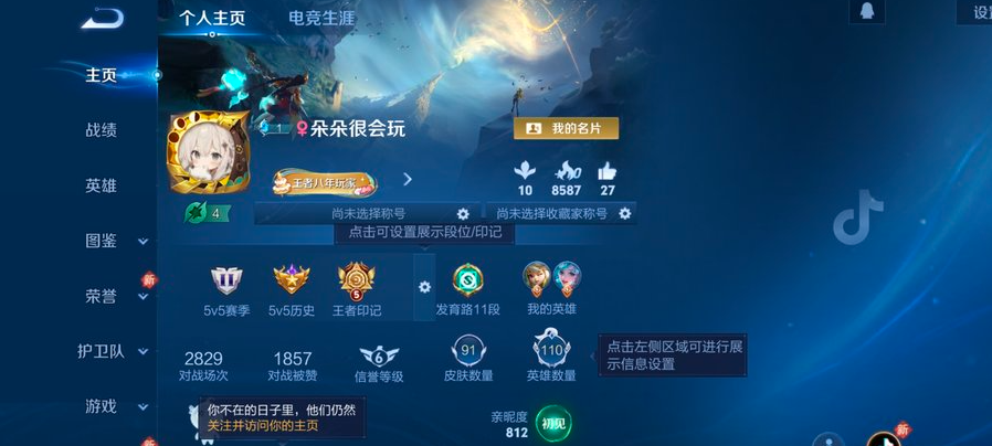 王者荣耀账号安卓QQ110英雄-91皮肤-呀呀31：安卓Q-V3-永恒钻石II-110英雄-91皮肤-0典藏-0无双-0