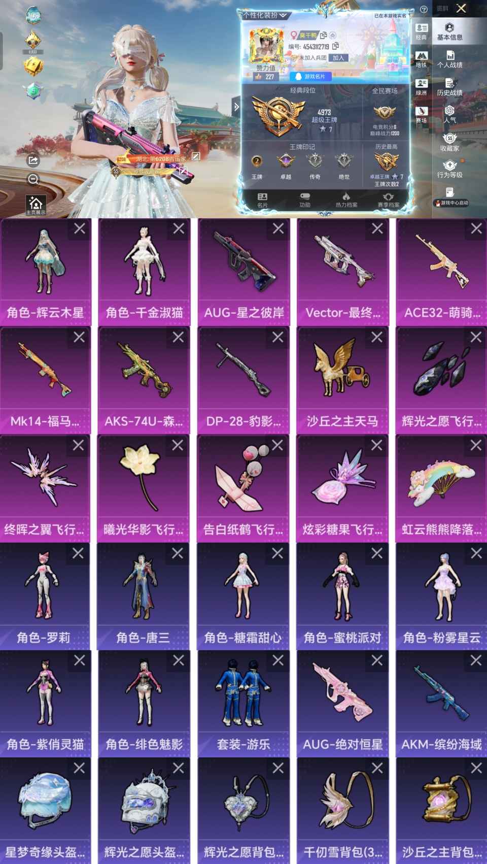 和平精英账号安卓QQ0载具-123套装-149枪皮-LGH575+LGH575【6特2粉6飞行器地铁号千金淑猫辉云木星A