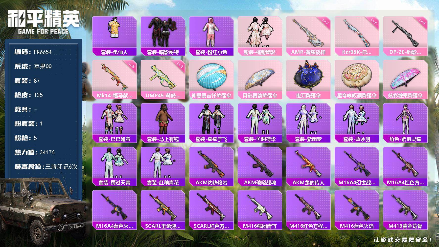 和平精英账号苹果QQ0载具-87套装-135枪皮-HX9339【暗影哥特-金羽特工背包头盔全套-七级AMR-智耀战神-粉