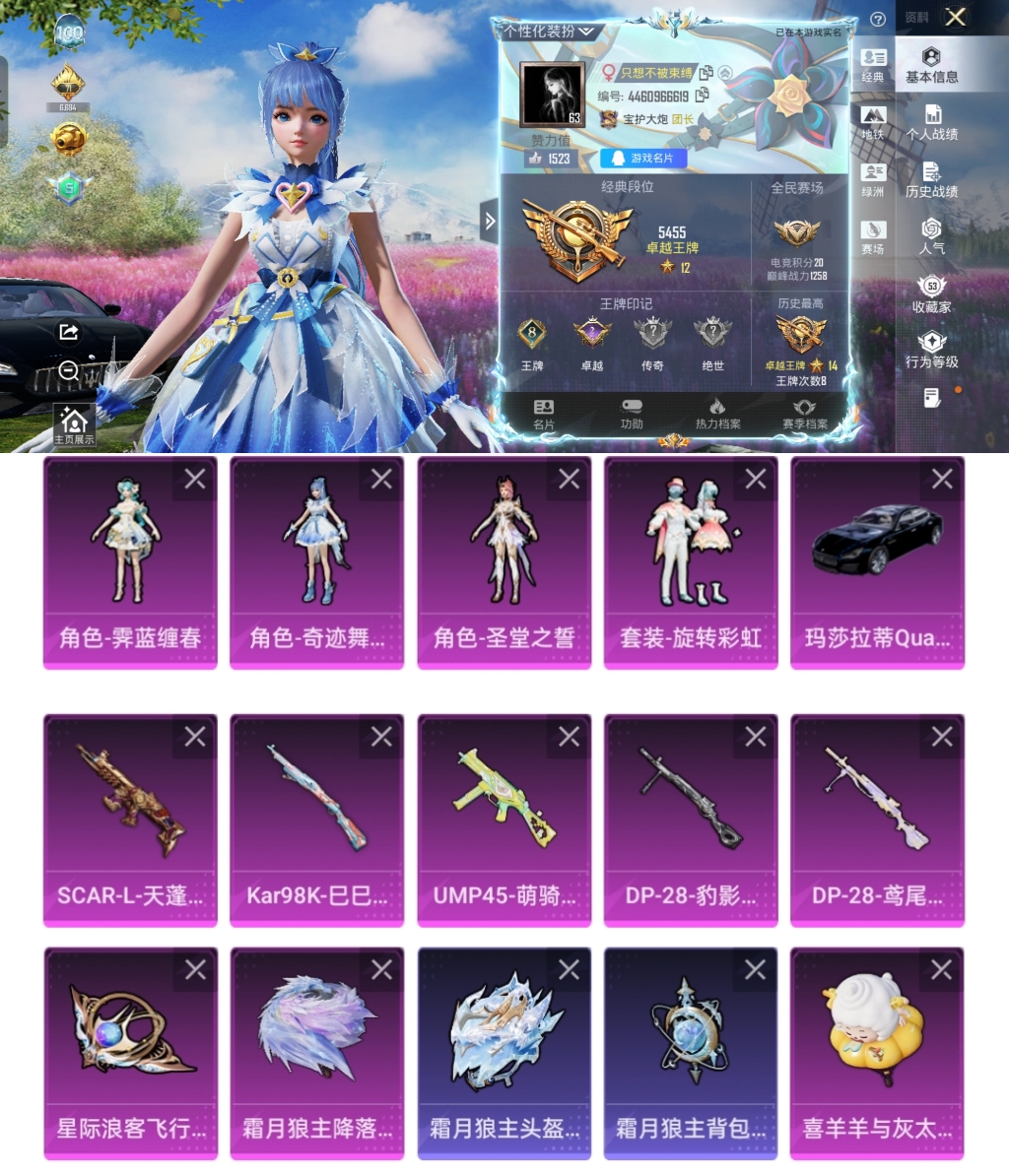 和平精英账号安卓QQ1载具-135套装-151枪皮-HM6777安卓Q区女号可二次-4粉装-5特效枪-1载具-天蓬元帅7