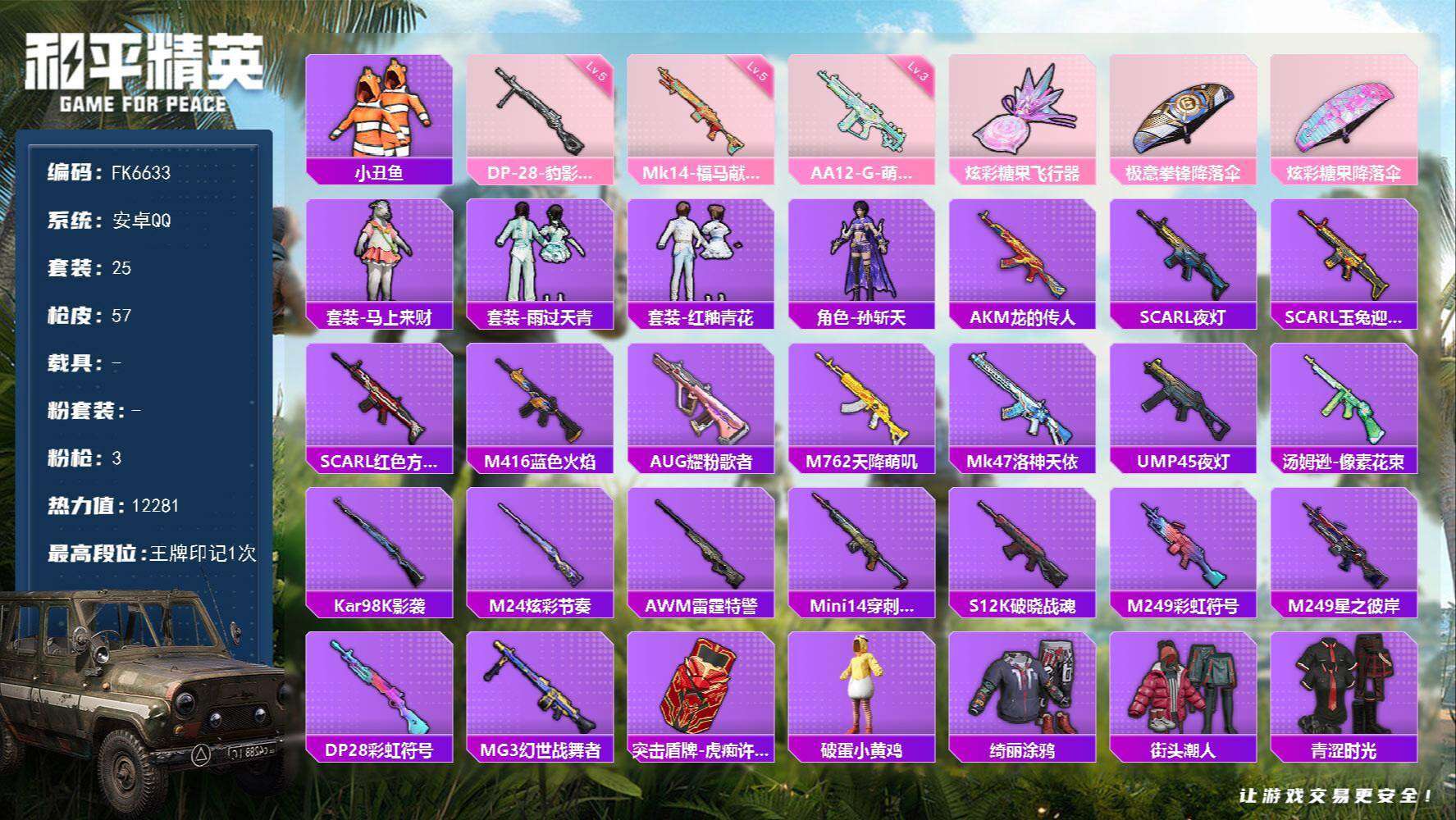 HPCMW4193197和平精英账号详情图1